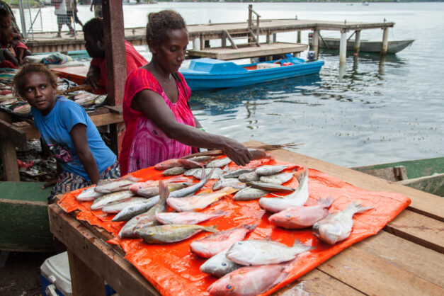 Reef fish for sale at Gizo market, Western Province, Solomon Islands. Photo by Filip Milovac.