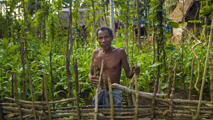 Can ‘survival gardens’ ensure Pacific food security?