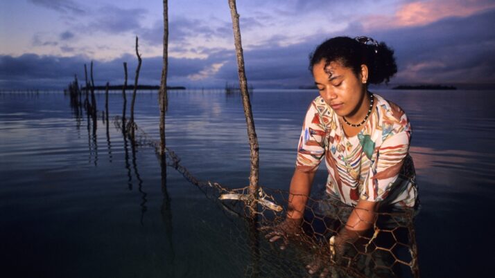 Writing our own stories: Pacific Women in security