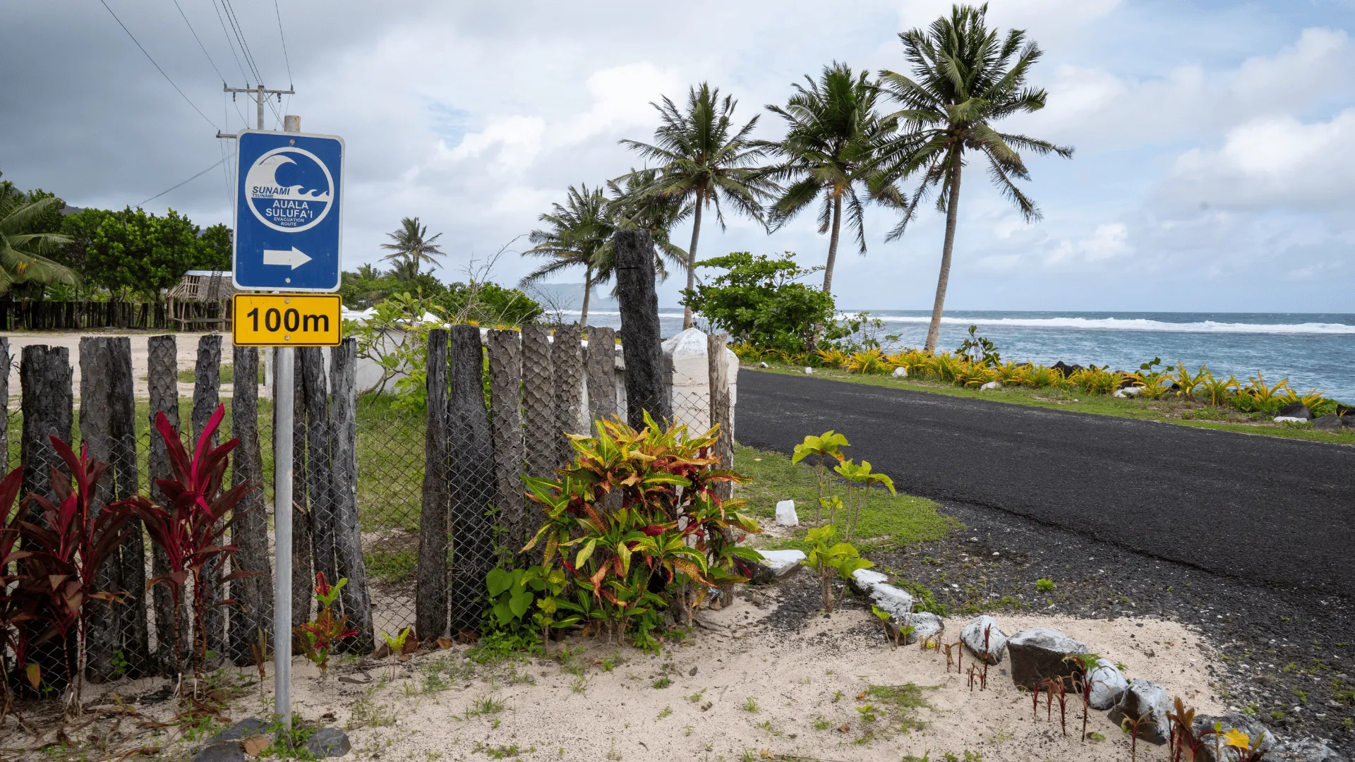 A tsunami evacuation sign in Samoa points inland, 100 meters away, with a coastal road, palm trees, and ocean waves visible in the background.