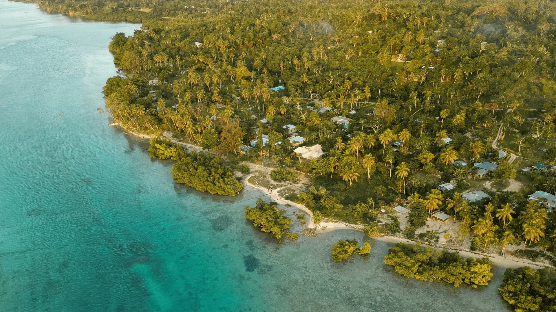 Aerial view of a tropical island coastline with turquoise water, dense palm trees, and scattered houses along the shore.