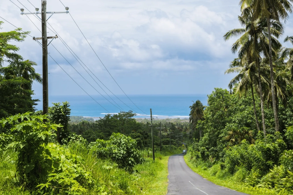 A narrow paved road winds downhill through dense tropical greenery, lined with palm trees and power poles, leading toward a bright blue ocean under a cloudy sky.