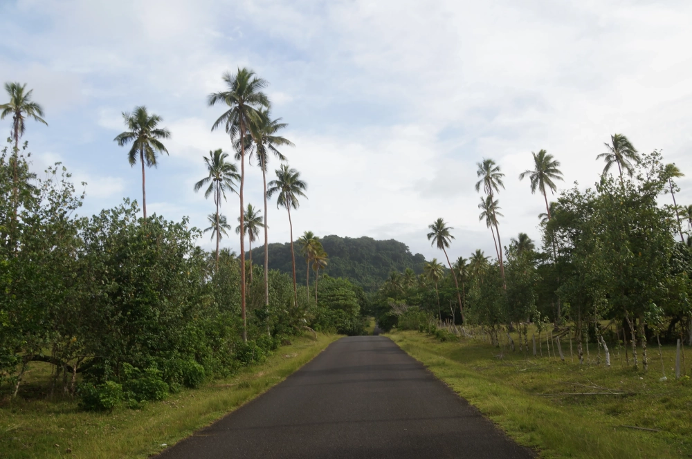 A narrow paved road runs through a lush tropical landscape lined with tall palm trees and dense green vegetation. In the distance, a forested hill rises beneath a partly cloudy sky, creating a quiet, rural scene in Vanuatu.