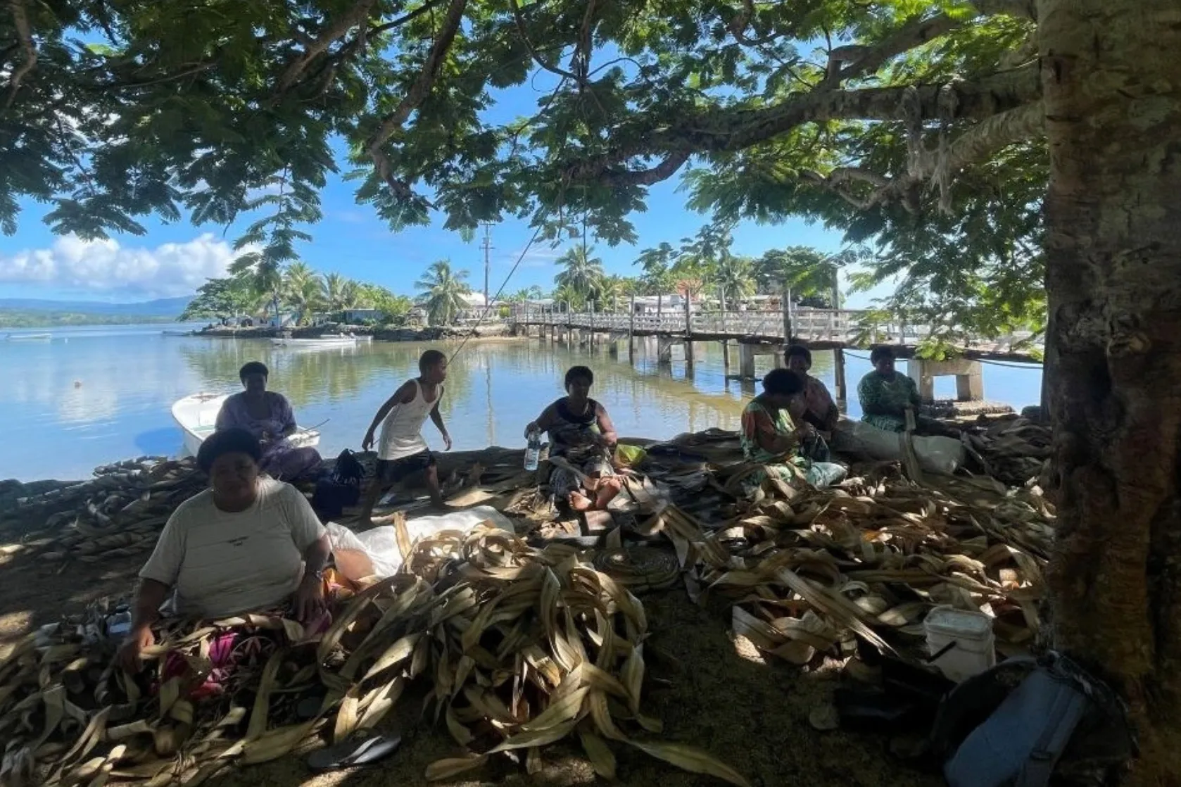 Community members sit beneath the shade of a large coastal tree weaving and sorting dried pandanus leaves beside a calm lagoon.