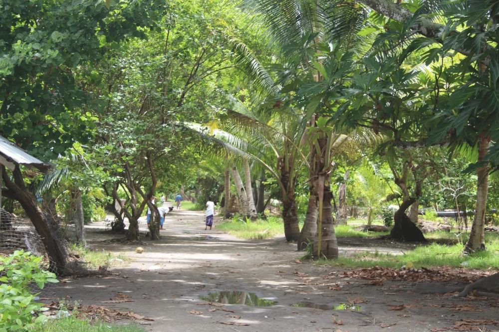 A dirt path lined with coconut palms and dense tropical vegetation, with several people walking in the background and simple houses partly visible among the trees.